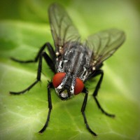 /album/salvandohuellasjm/photolia-a01-jpg/