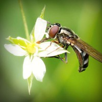 /album/salvandohuellasjm/photolia-a02-jpg/