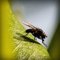 /album/salvandohuellasjm/photolia-a04-jpg/