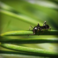 /album/salvandohuellasjm/photolia-a05-jpg/