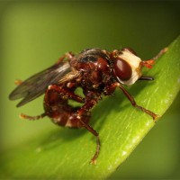 /album/salvandohuellasjm/photolia-a06-jpg/