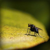 /album/salvandohuellasjm/photolia-a07-jpg/