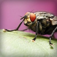 /album/salvandohuellasjm/photolia-a08-jpg/